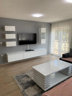 Apartment Pejton